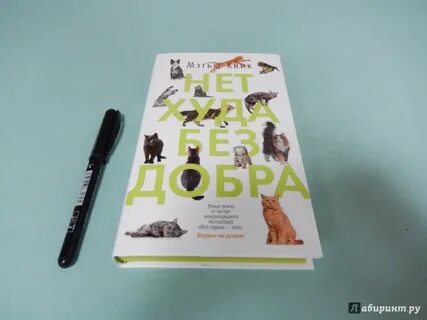 Проклятье ведьма или нет худа без бобра