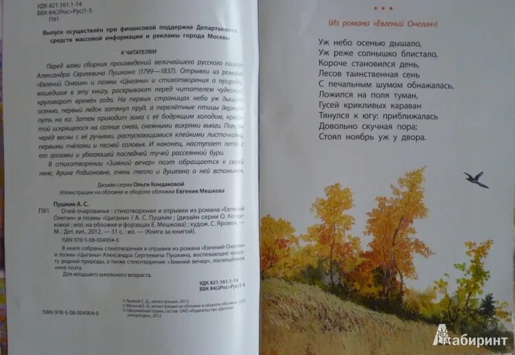 Читать полностью без отрывок. Отрывок Пушкина осень. Стихи Пушкина про осень. Стихи Пушкина о природе осень. Пушкин осень книга.