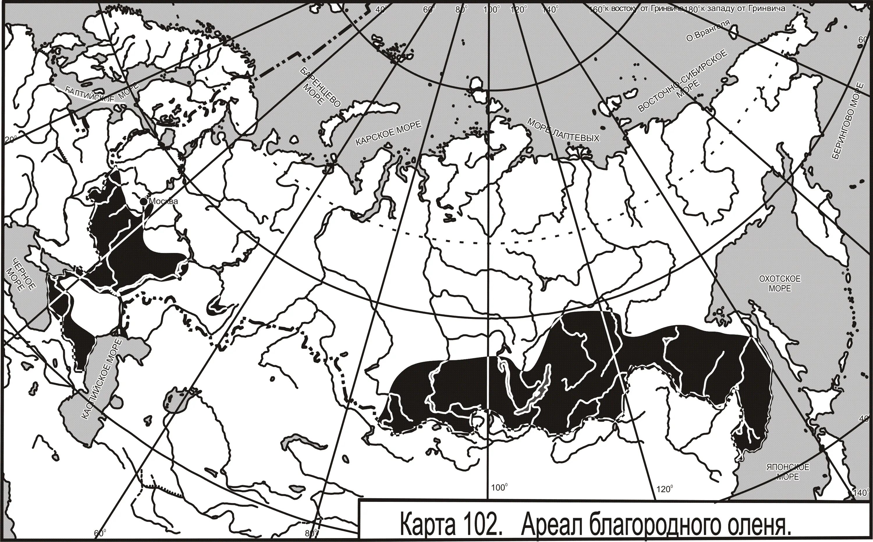 Благородный олень ареал. Ареал обитания оленей в России. Ареал обитания благородного оленя в России на карте. Ареал Северного оленя.