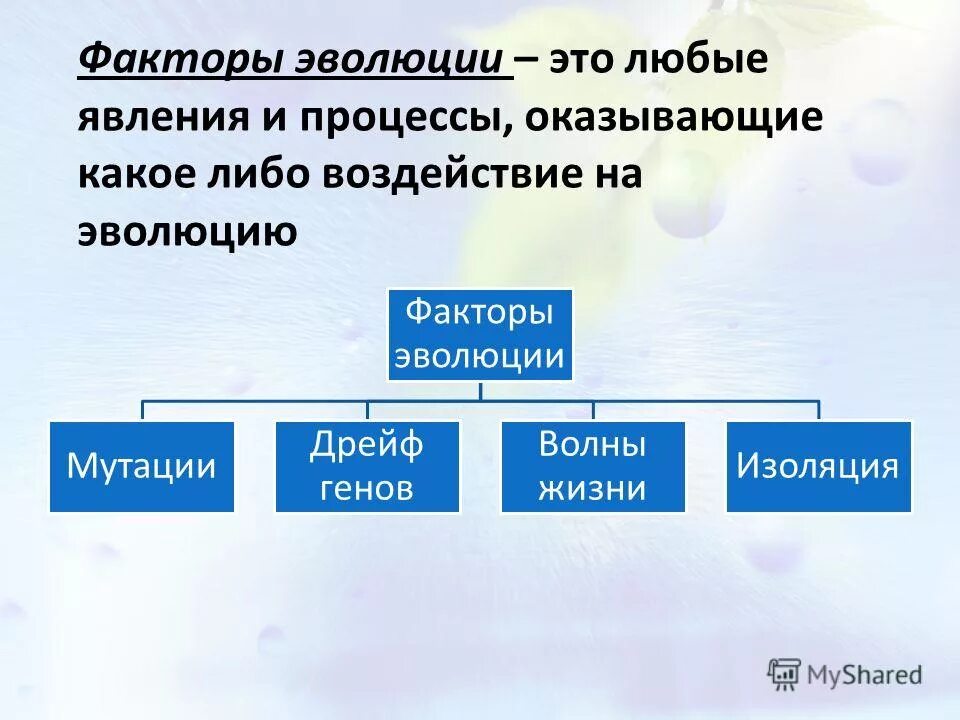 Факторы эволюции 9 класс биология. Факторы эволюции 9 класс биология. Микроэволюция факторы эволюции. Факторы эволюции. Представьте в виде схемы многообразие элементарных.