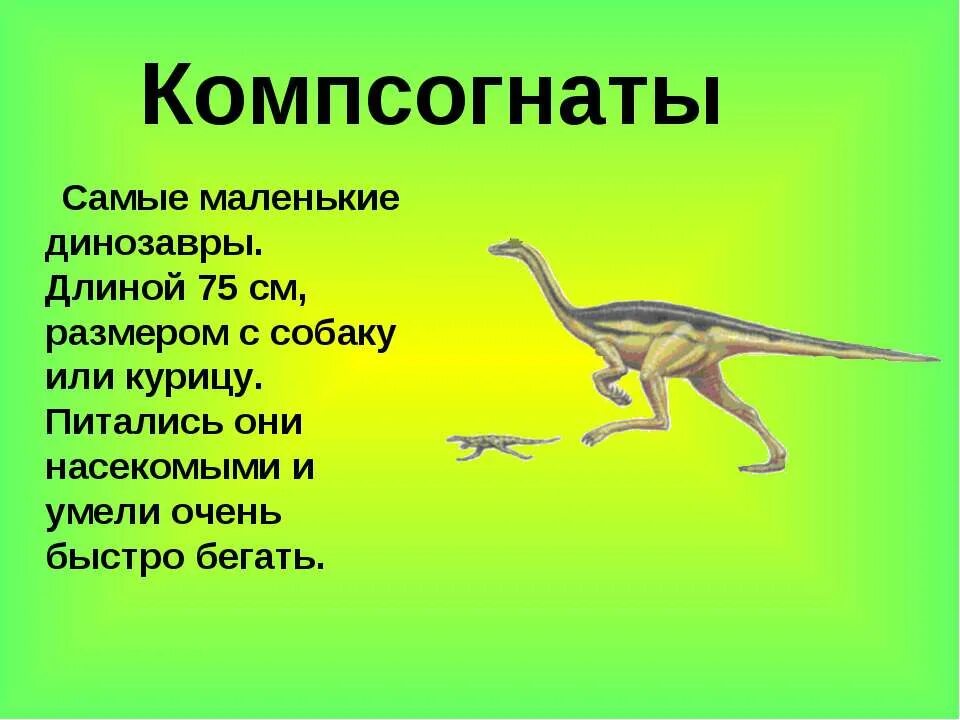 травоядные динозавры бронтозавр. окружающий мир динозавры. 1 класс окружающий мир когда жили динозавры. презентация про динозавров 1 класс. рассказ когда жили динозавры.