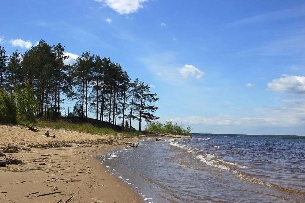 Рыбинские пляжи. Рыбинское водохранилище пляж Коприно. Милюшино Рыбинское водохранилище. Юршинский остров Рыбинское водохранилище. Рыбинск Рыбинское море.