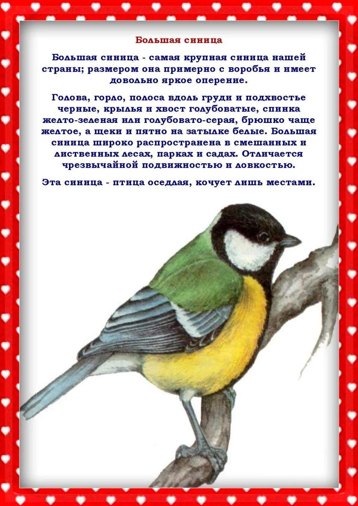 Папка передвижка день птиц. Консультация для родителей птицы. Наши пернатые друзья. Папка передвижка птицы наши друзья. Консультация «птицы — наши друзья»..