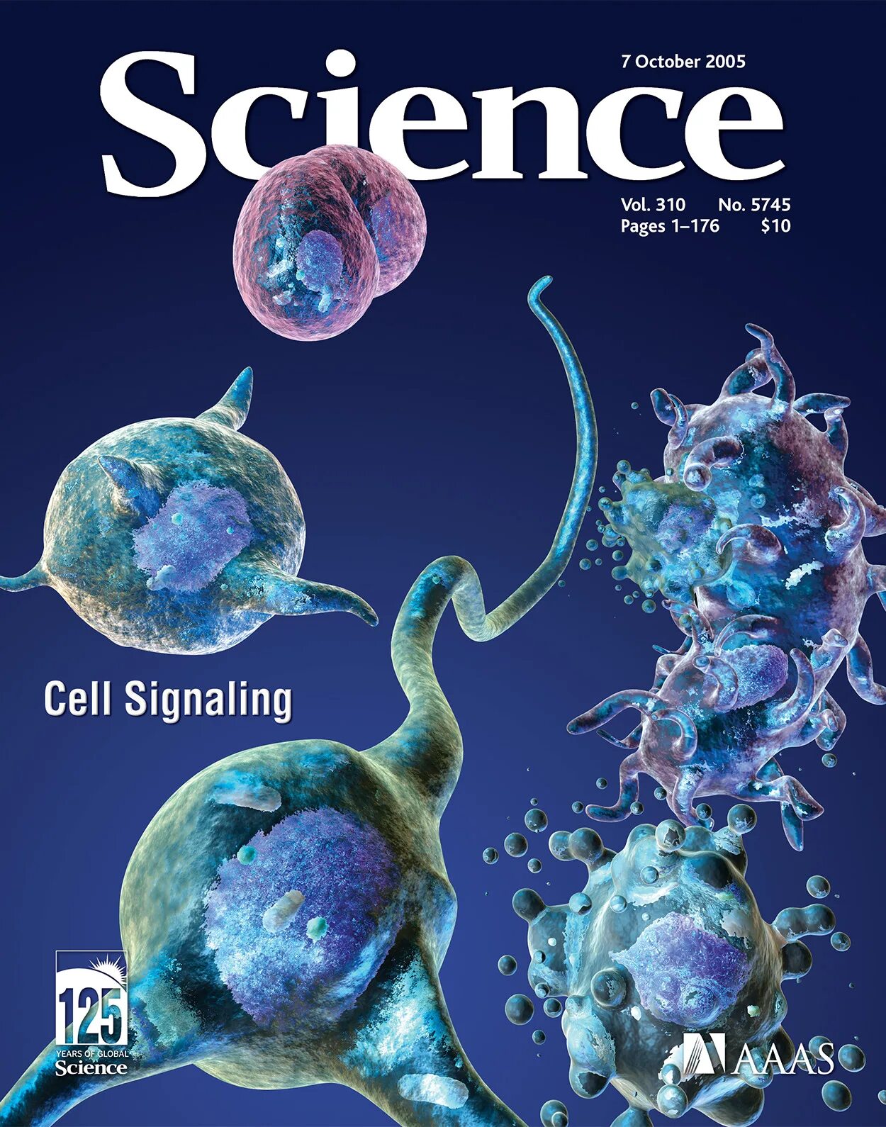 Science 2005. Scotland`s national nature reserves. Scotland national nature reserves spotlight. Научный журнал в америке. Type ii hypersensitivity reaction.
