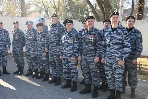 Сколько омона