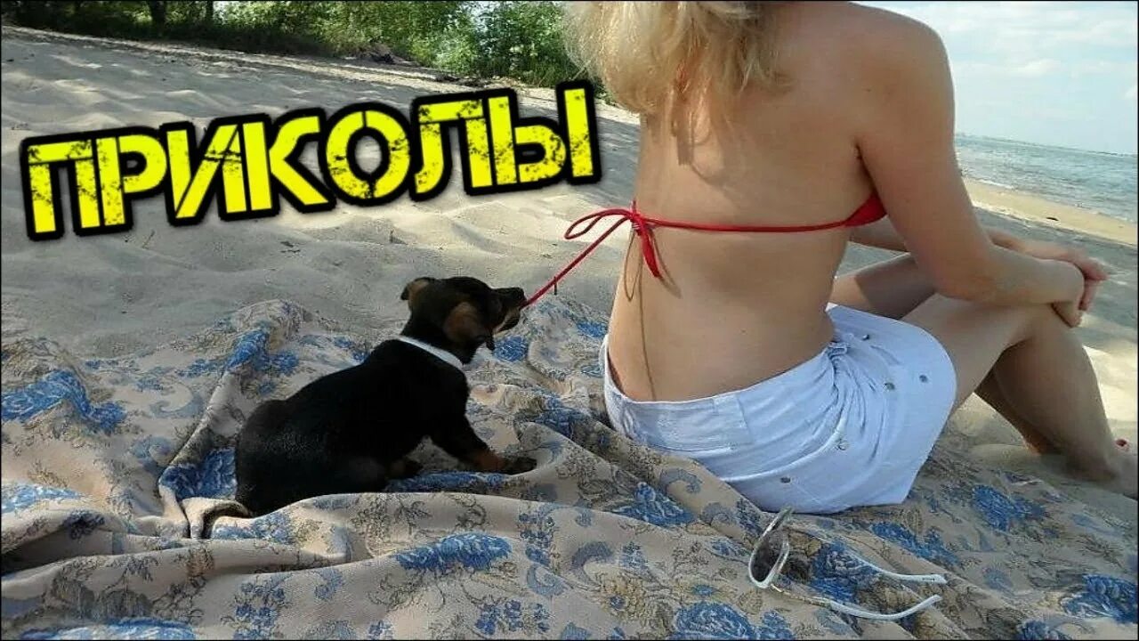 Хороший бесплатный видео. Youtube приколы. Лучшие приколы ютуба. Ютуб видео приколы. Русские приколы 2019.