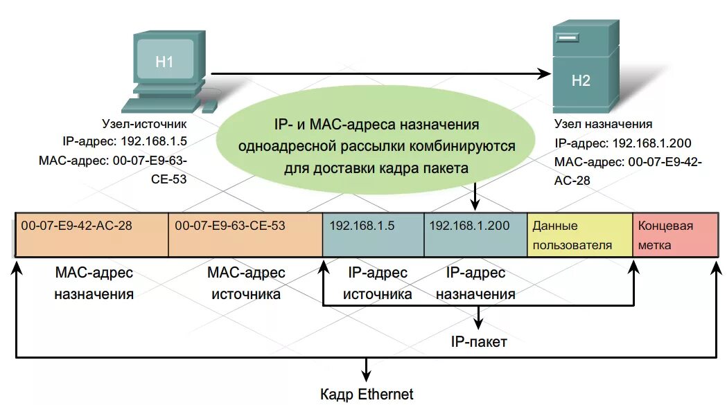 2 ip 1 компьютер. Протокол TCP схема. Протокол TCP/IP для чайников. Канальный уровень TCP/IP Ethernet. Структура пакета Ethernet TCP/IP.