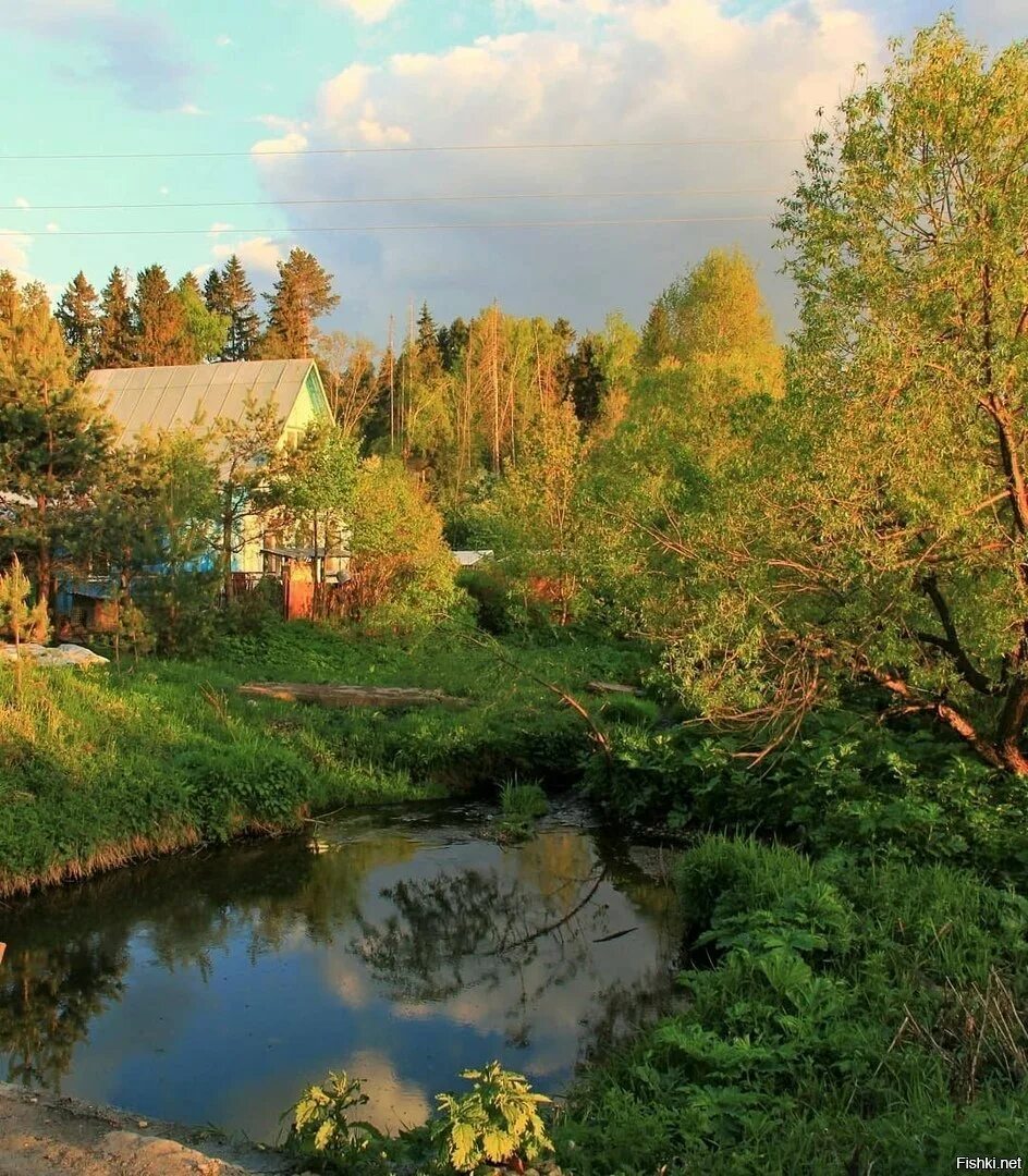 Подмосковная жизнь