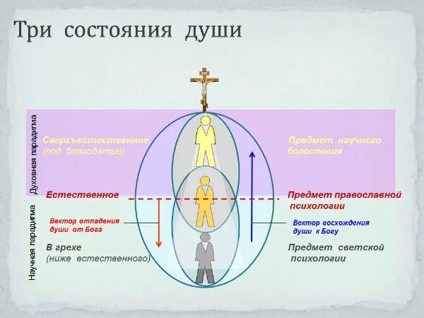 Как отличить духа. Части души человека. Состояние души человека. Тело душа и дух в православии. Строение души человека.