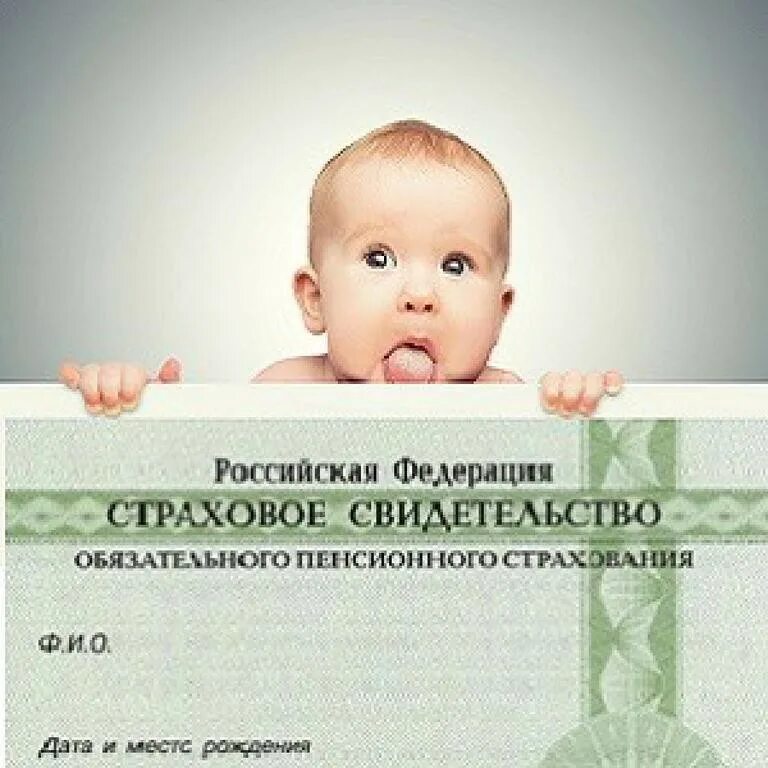 Пенсионный фонд приступил к проактивному оформлению СНИЛС на детей Комиинформ