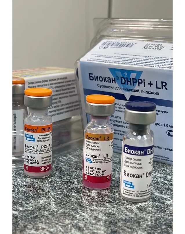 Чешская вакцина отзывы. Биокан DHPPI. Биокан вакцина для собак. Биокан DHPPI+LR. Вакцина Биокан RL для собак.