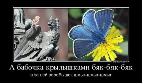 Бабочки крыльями хлопали очень тихо