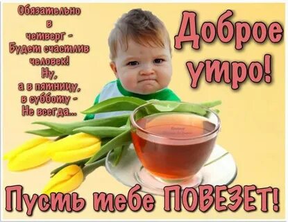 Доброе утро четверга картинки прикольные с надписями