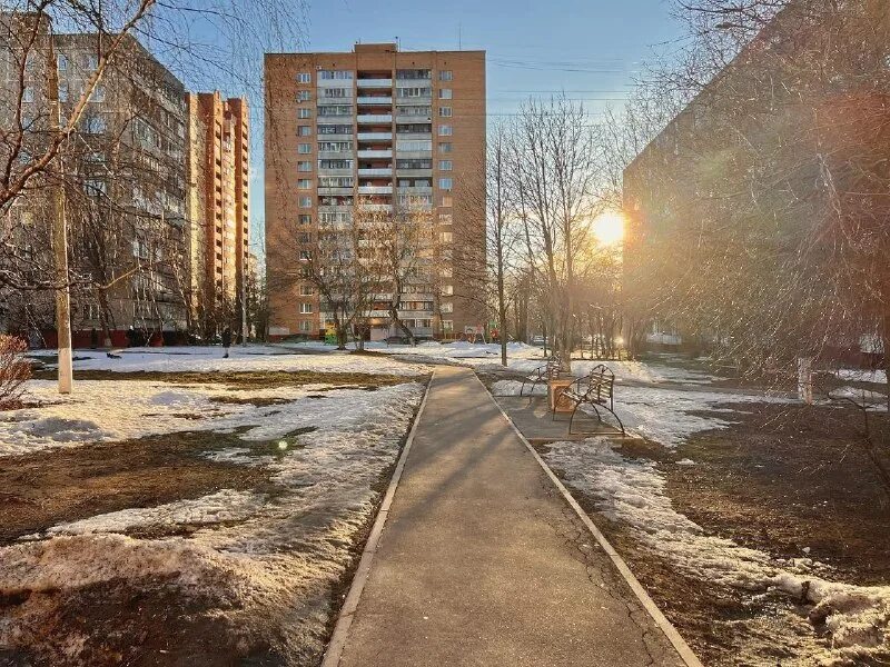 март подольск. март подольск. лес в марте картинки. подольск книжный магазин на площади ленина. март подольск.