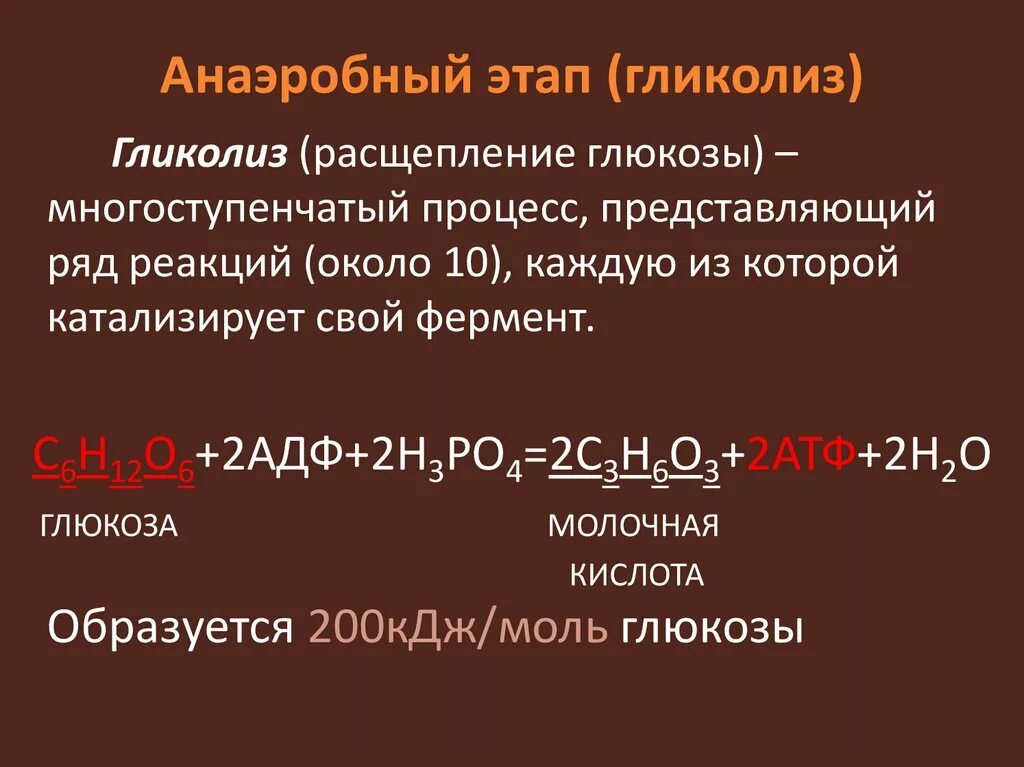 Гликолиз аэробный и анаэробный в формулах. Анаэробный распад Глюкозы (анаэробный гликолиз).. Анаэробная фаза дыхания (гликолиз): этапы. Уравнение бескислородного этапа гликолиза.