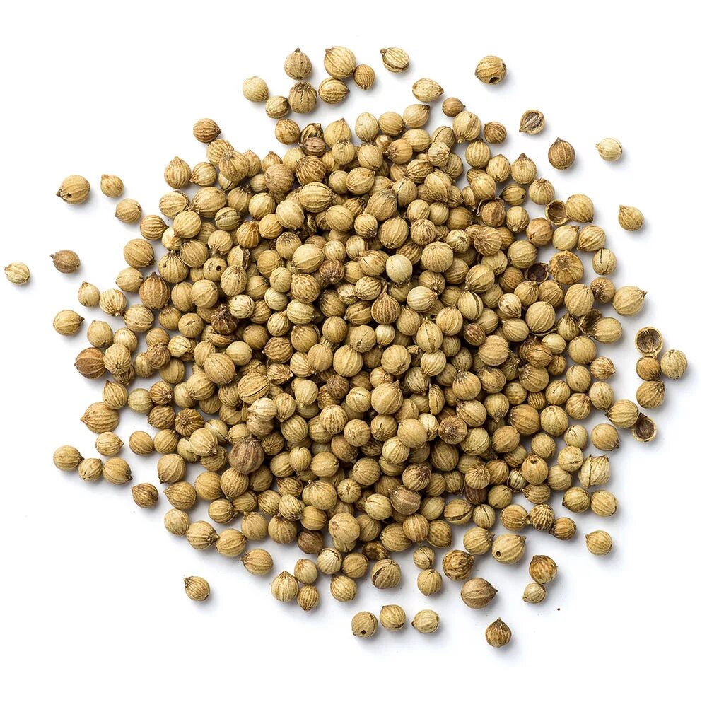 Кориандр это семена кинзы. Кориандр целый (coriander) 1 кг. Кориандр семена - 250 гр. Кашнич кориандр. Кориандр сорта