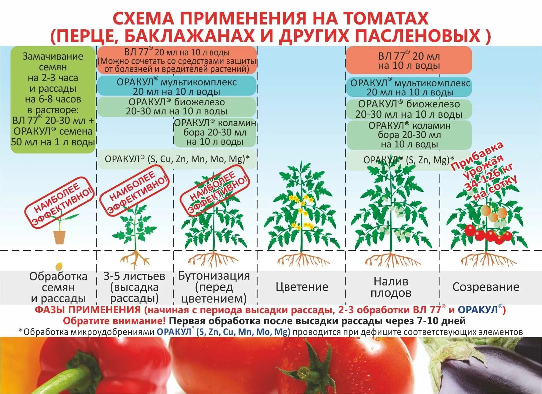 Подкормка рассады монофосфа ом калия. Схема удобрения рассады томатов. Схема подкормки рассады перца. Схема подкормки томатов от рассады до сбора.