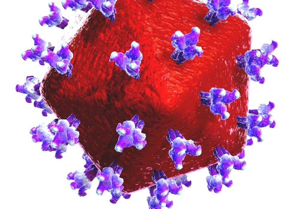 Human immunodeficiency. Вирус иммунодефицита человека (Human Immunodeficiency virus). ВИЧ бактерия. Клетка ВИЧ.