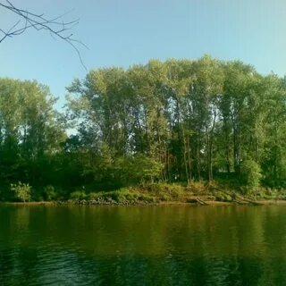 Река чапаевка самарская область