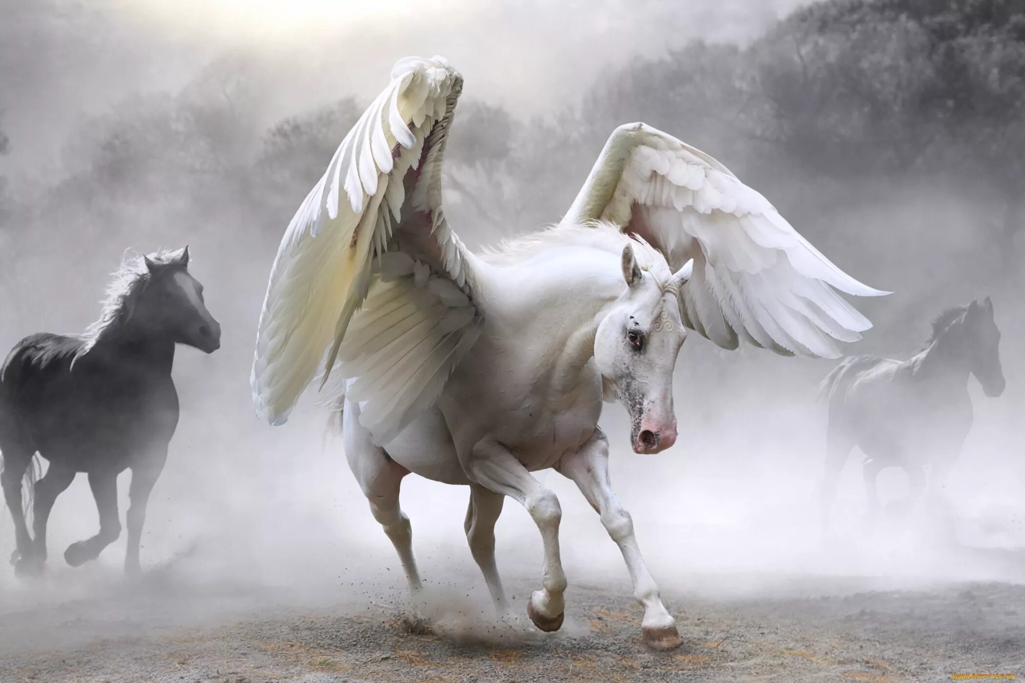 Пегас без крыльев. Крылатая лошадь. Лошади фэнтези. Единорог с крыльями. Белая лошадь с крыльями.