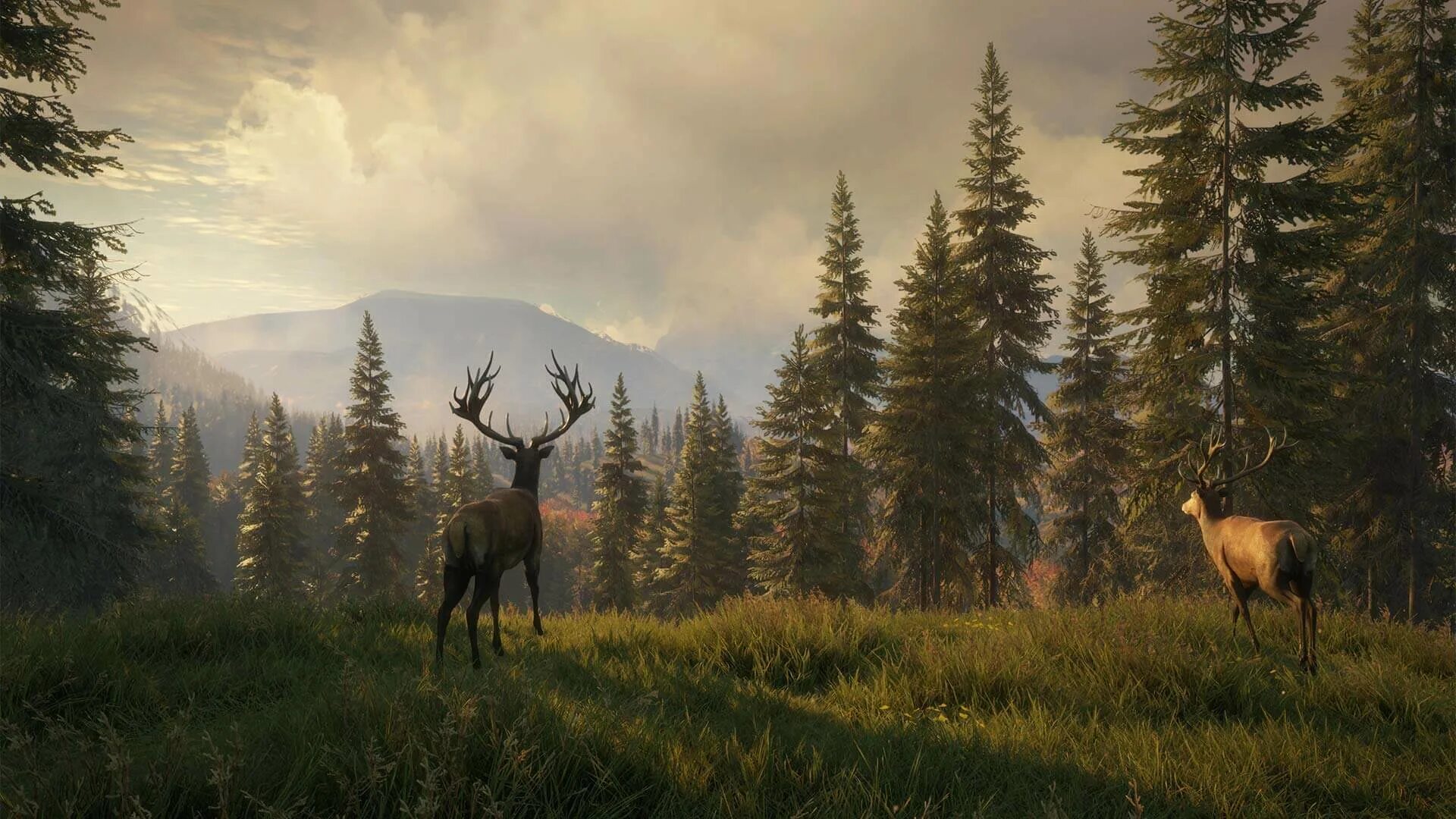 Игра the Hunter Call of the Wild. Hunter охота. Зе Хант. The Hunter Call of the Wild обои.