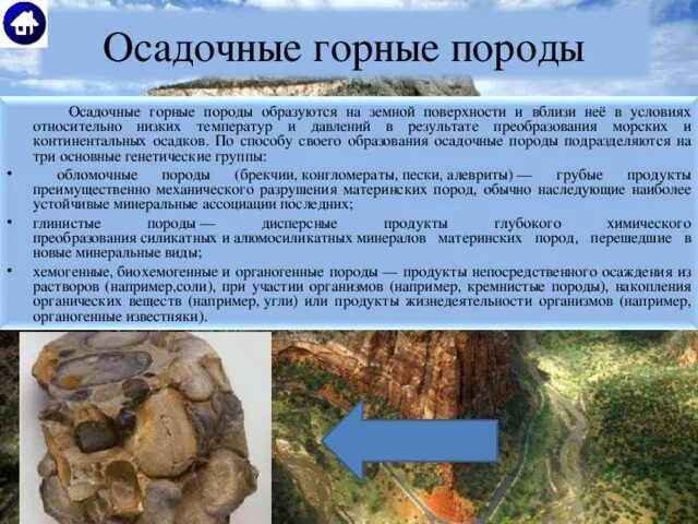 Хемогенные и органогенные осадочные горные породы. Осадочные горные породы осадочные горные породы. Образование осадочных пород. Образование осадочных горных пород.