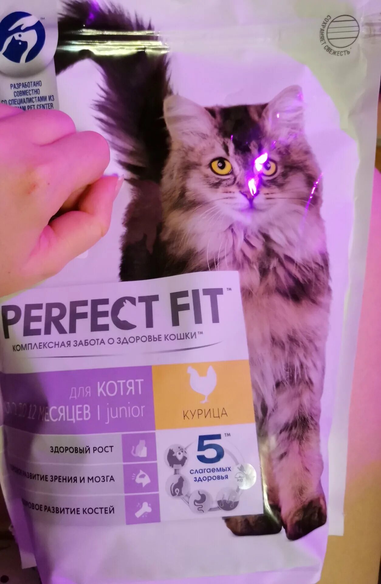 корма для котят перфект фит. перфект фит состав сухого корма для кошек. перфект для котят отзывы. перфект для котят отзывы. корм для котят пурина перфект фит.