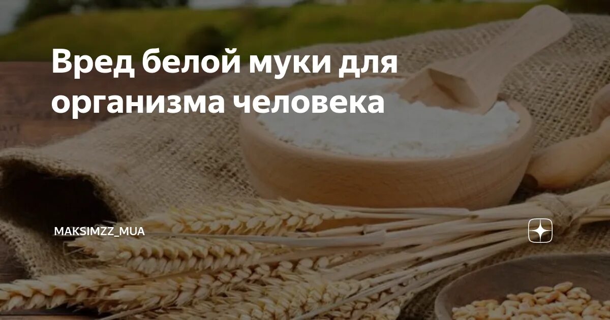 Можно ли давать муку. Можно ли давать муку