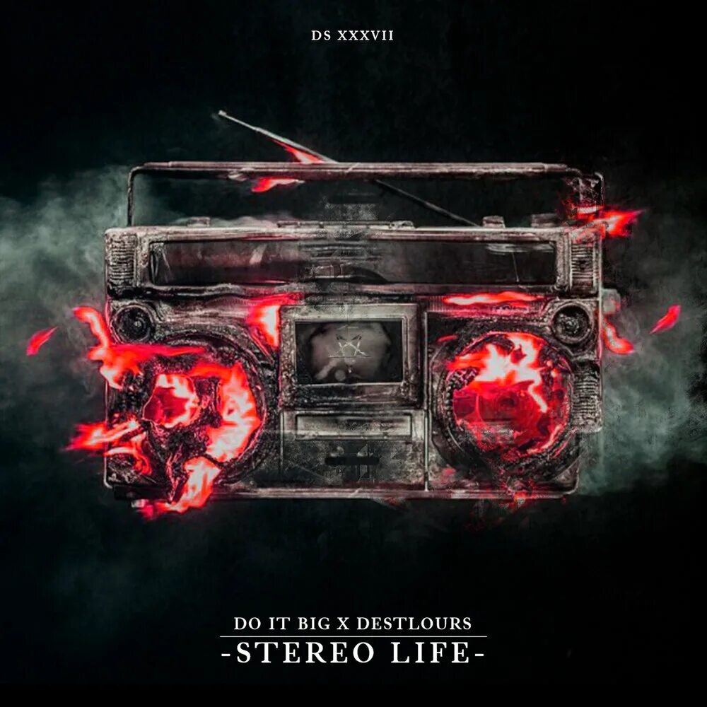 Back to life песня. Stereo life. Альбом in life. Back to back. Dsd music.