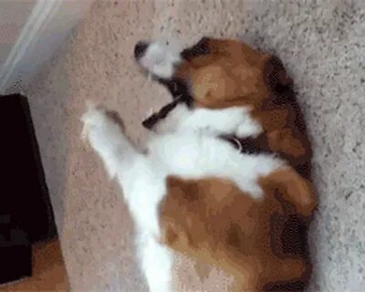 Выложить gif