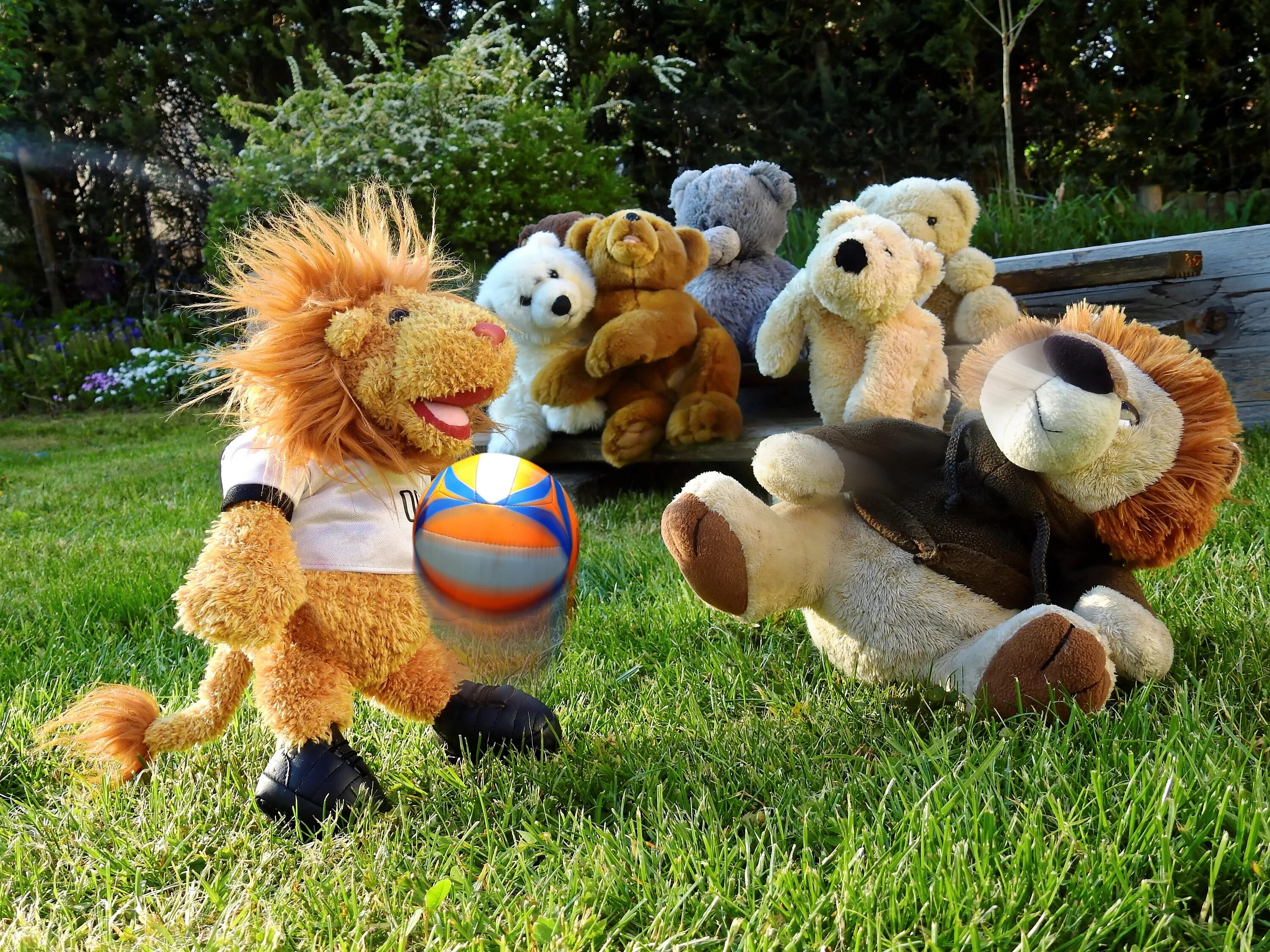 Где играющие игрушки. Плюшевый мишка с мячом. Плюшевый Лев. Медведь плюшевый с мячом. Животные играющие с игрушками.