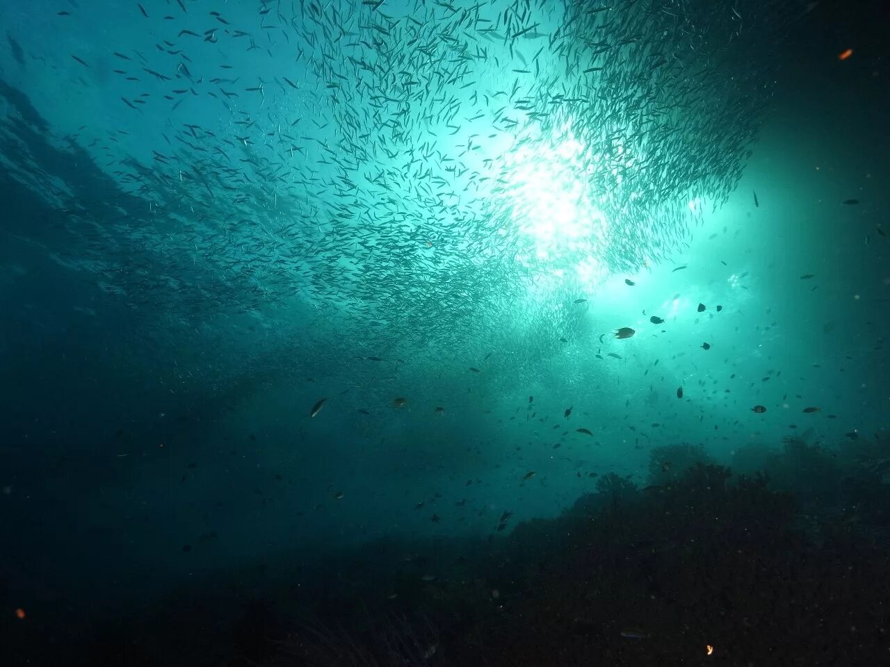 Верхние толщи воды. Дно океана. Под водой. Море глубина. Океаны. Глубина.