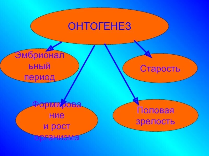 Периоды жизни животных. Периодизация жизни животных. Сообщение на тему периодизация и Продолжительность жизни животных. Периодизация и Продолжительность жизни животных таблица.