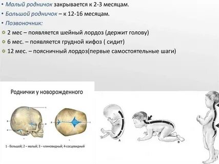 Родничок стал больше