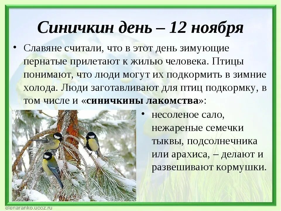 Синичкин день. День синички 12 ноября. Экологический праздник «Синичкин день». 12 Ноября праздник Синичкин день. Сценарий развлечения птицы