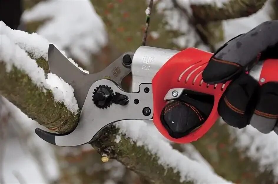 +секатор +садовый +8"/200мм +hcs +skrab +28045 купить. Секатор для обрезки веток. Секатор fiskars p57. Металлический/ pruner. Цепной секатор.