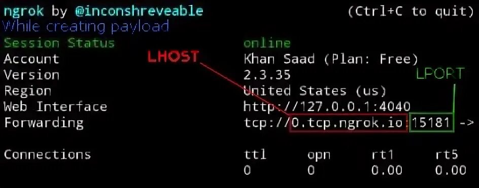 Ngrok. Tcp eu ngrok io. Ngrok icon. Ngrok tcp. Ngrok как пользоваться.
