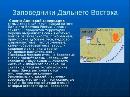 Дальневосточный заповедник природная зона