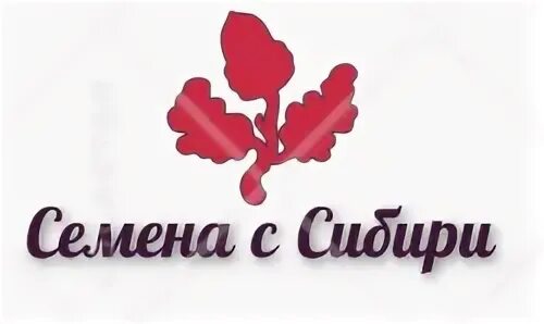 Семена цветов сибири. Магазин семена почтой. Семена цветов многолетников каталог. Семена цветов сибири. Набор семян.
