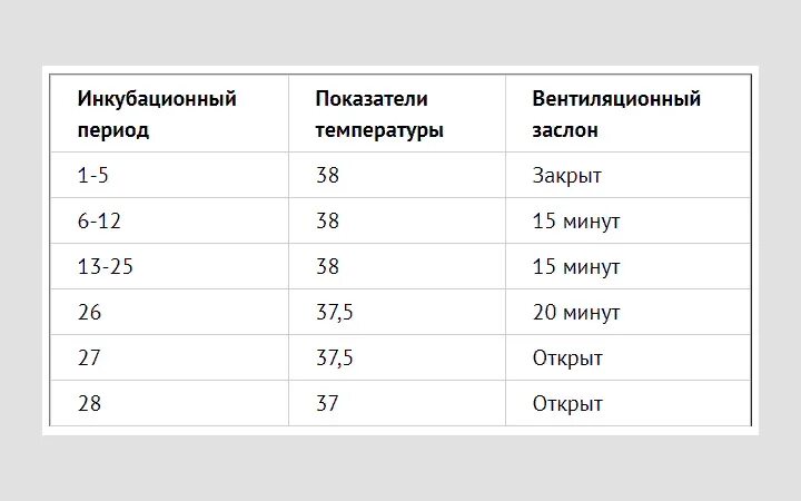 Таблица инкубации индюшиных. Таблица инкубации индюшиных яиц Биг 6. Таблица инкубации индюков Биг 6. Таблица инкубации индюшиных яиц. Таблица инкубации индюшиных яиц в инкубаторе