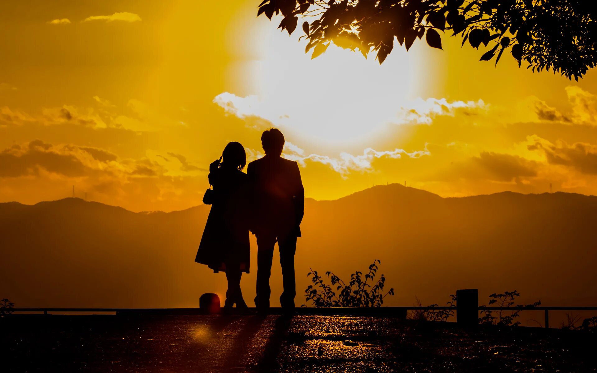пара на рассвете. пара на закате у моря. пара на закате в поле. влюбленные на закате. влюбленные солнце сочетание.