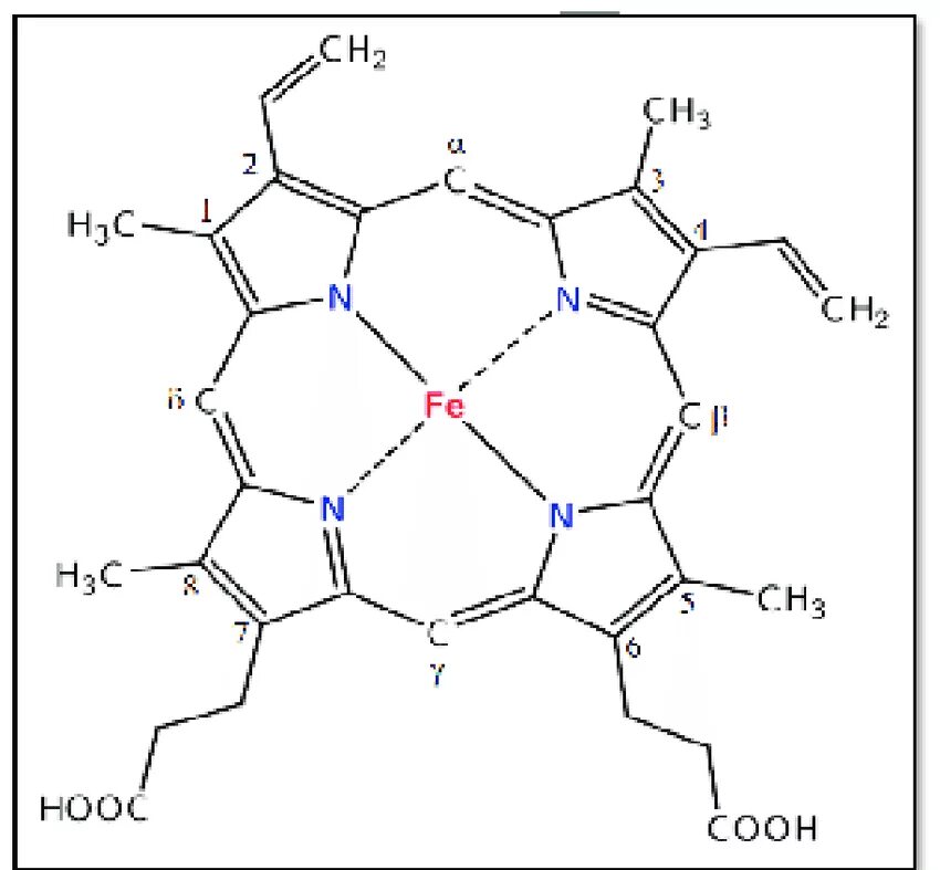 Протопорфирин. Protoporphyrin IX. Гематопорфирин. Протопорфирин 9 формула. Гем протопорфирин IX.