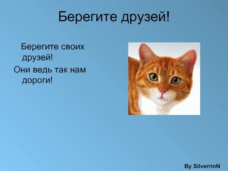 Берегите друг друга минус. Берегите своих друзей. береги друзей своих. берегите друзей картинки. береги друзей.