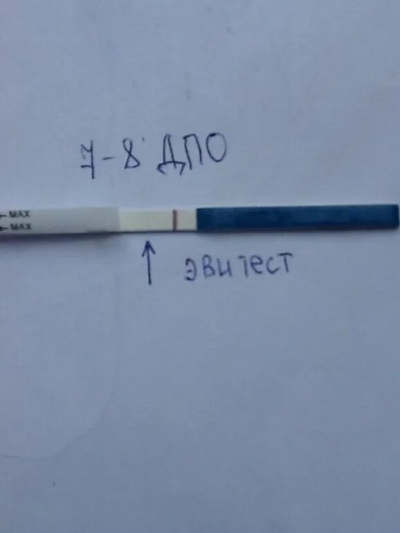 6 недель тест. Тест на беременность на 7 день после овуляции. 7 дпо тест на беременность положительный. таст на беременность на 7 дпо. 7 дпо покажет ли тест беременность.