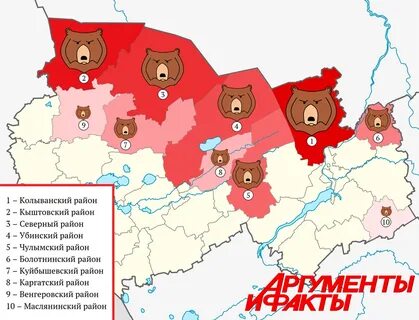 Количество медведей в областях