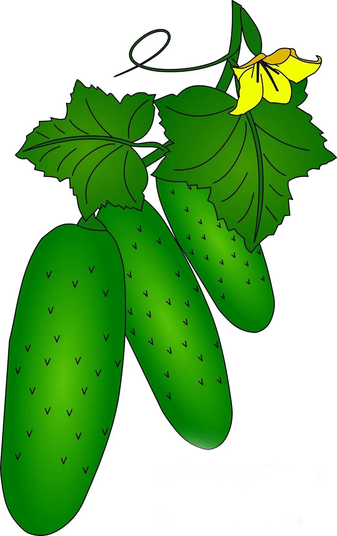 Огурчики детские