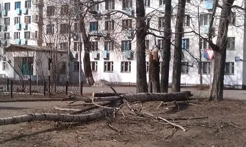Барахолка кавалерова