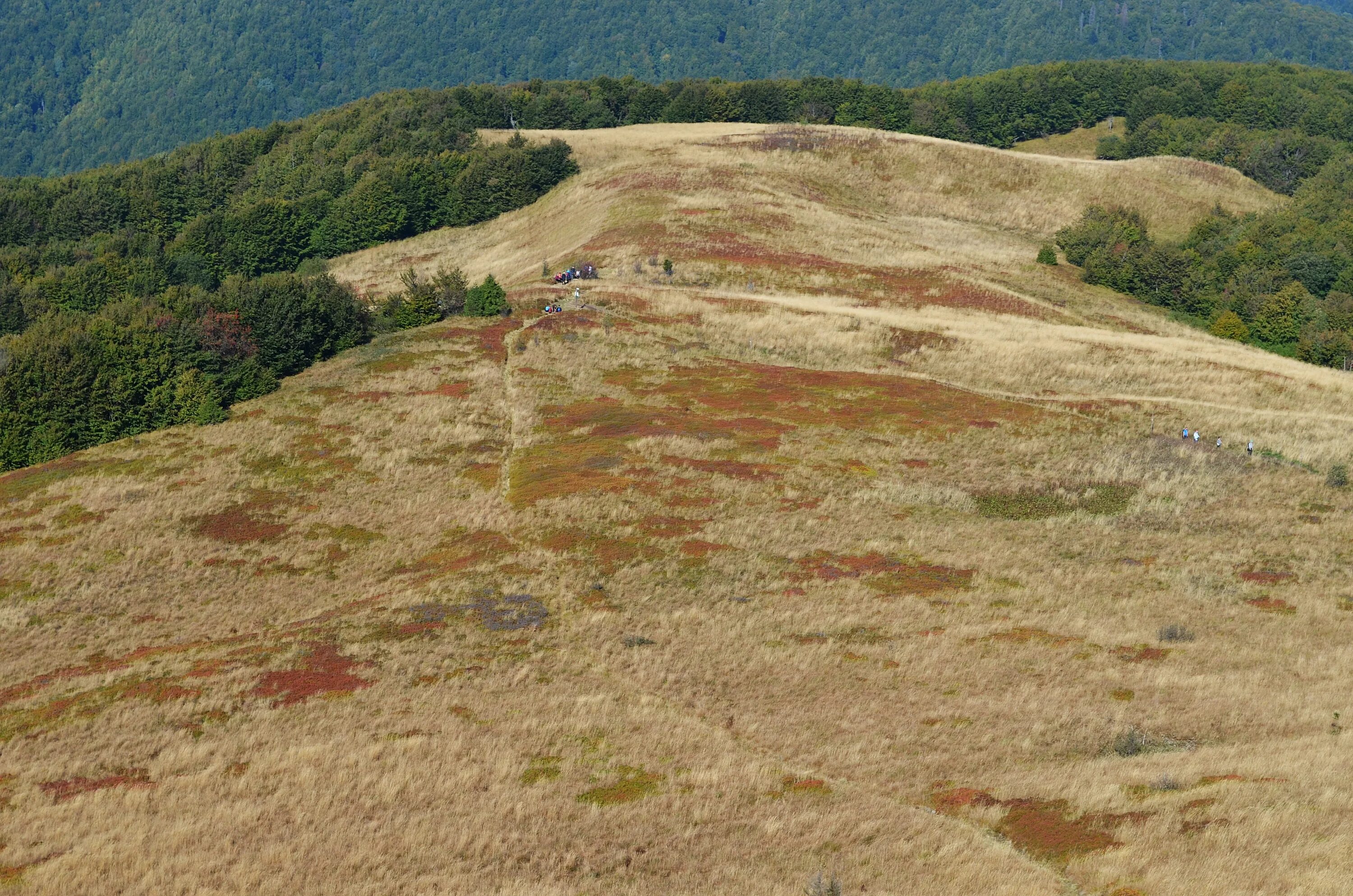 Ground view. Холмы вид сверху. бугры вид сверху. гора top view. геологическое гори.