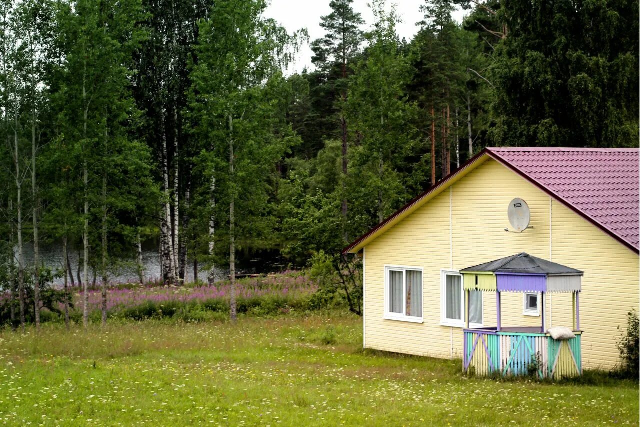 Дол выборгского района. Дол Спутник Ленинградская область. Детский лагерь Спутник Ленинградская область. Лагерь Спутник Ленинградская область Выборгский район. Лагерь Спутник Выборг.