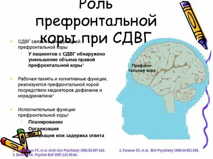 Проспекта сдвг отзывы